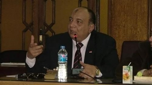 الدكتور محمد عبد الفتاح رئيس الاتحاد العربي للتعليم والبحث العلمي